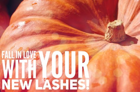 Fall Lash Extensions, Eyelash Extensions Ideas, Lash Extensions Ideas, Lash Marketing, Extensions Eyelash, Lash Quotes, Lash Studio, Signature Ideas, Salon Ideas