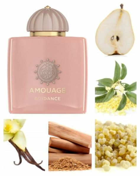 Amouage Perfume, Signature Perfume, Fragrance Lab, Pampering Routine, Perfume Organization, Fragrances Perfume Woman, Perfume Collection Fragrance, Perfume Packaging, Body Creams