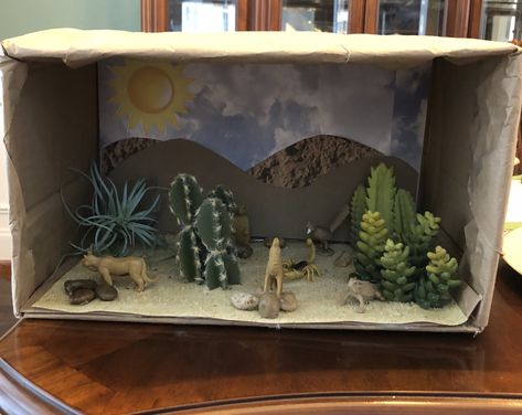 Desert biome project Biome Project Ideas, Diaroma Ideas, Biome Project, Savanna Biome, Desert Crafts, Desert Diorama, Biomes Project, Earth Science Projects, Diorama Kids