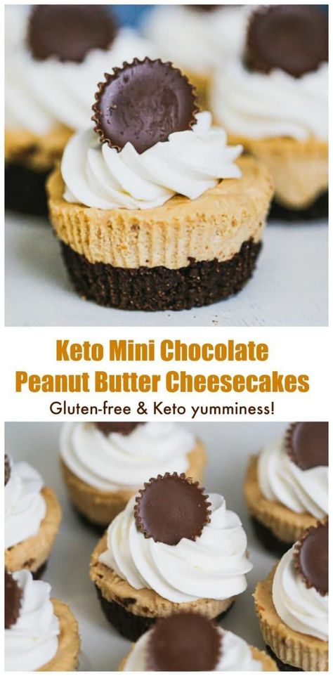 Sf Desserts, Keto Cheesecakes, American Cupcakes, Peanut Butter Cup Cheesecake, Keto Cakes, Keto Cupcakes, Chocolate Peanut Butter Cheesecake, Low Carb Peanut Butter, Gluten Free Cheesecake