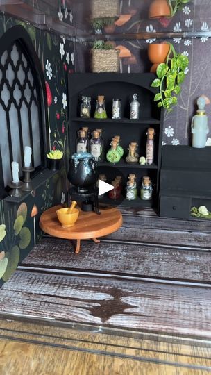 Harry Potter Miniverse, Miniverse Display Ideas, Harry Potter Display, Potion Shop, Harry Potter Miniatures, Main Theme, Room Box, Future House, I Saw