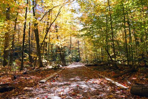 Guide to Mount Monadnock | The Most Popular Hike in New England Mount Monadnock New Hampshire, Hiking Photos, Boston Skyline, Toll Road, New England Travel, New England Fall, Mount Washington, Park Ranger, White Mountains