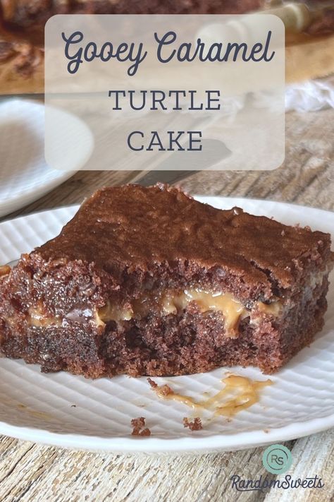 Turtle Cake Recipe Easy, Turtle Cake Recipe, Chocolate Caramel Cake, German Chocolate Cake Mix, German Cake, How To Melt Caramel, Chocolate Turtles, Gooey Caramel, Turtle Cake