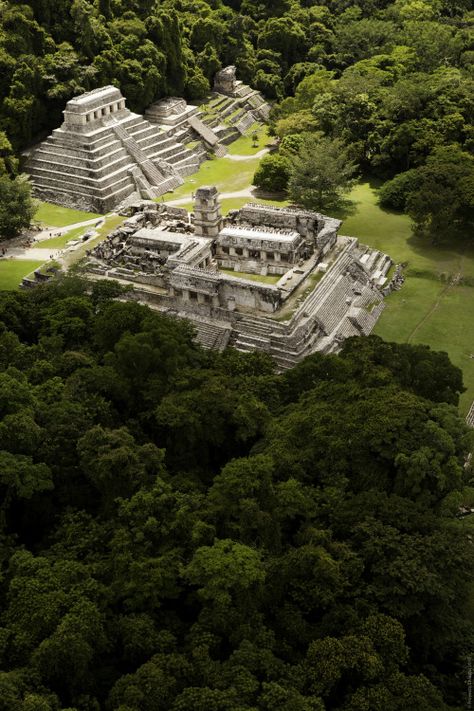 Palenque / Mexico (via algrano.mx). Mexican Pyramids, Play Architecture, Interesting Landscapes, Mayan Architecture, Wanderlust Decor, Maya Art, Travel Mexico, Wanderlust Photography, Mayan Culture