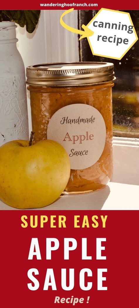 Easy Homemade Apple Sauce Canning Recipe Apple Sauce Canning, Applesauce Recipes Canning, Easy Apple Sauce, Homestead Canning, Canning Apple Pie Filling, Homemade Apple Sauce, Roaster Recipes, Canning Applesauce, Canned Applesauce