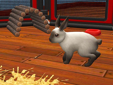 Sims 4 Small Animals, Sims 4 Functional Pet Cc, Sims 4 Rabbit Cc, Sims 4 Bunny Cc, Sims 4 Animal Cc, Art Reference Cute, Sims 4 Cc Animals, Sims 4 Cc Pet Stuff, Sims 3 Horse Cc