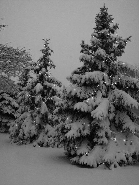 Black And White Xmas Aesthetic, Silver Winter Aesthetic, Wintering Aesthetic, Gray Christmas Aesthetic, Christmas Aesthetic Black And White, Christmas Black And White Aesthetic, Black And White Christmas Aesthetic, Snow Aesthetic, Tree Winter