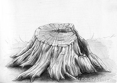 Old tree stump - sketch Tree Stump Sketch, Tree Stump Tattoo Ideas, Tree Tattoo Drawings, Roots Illustration, Tree Drawings Pencil, Family Tree Tattoo, Pine Tree Tattoo, Tree Sketches, Art Drawings Sketches Pencil