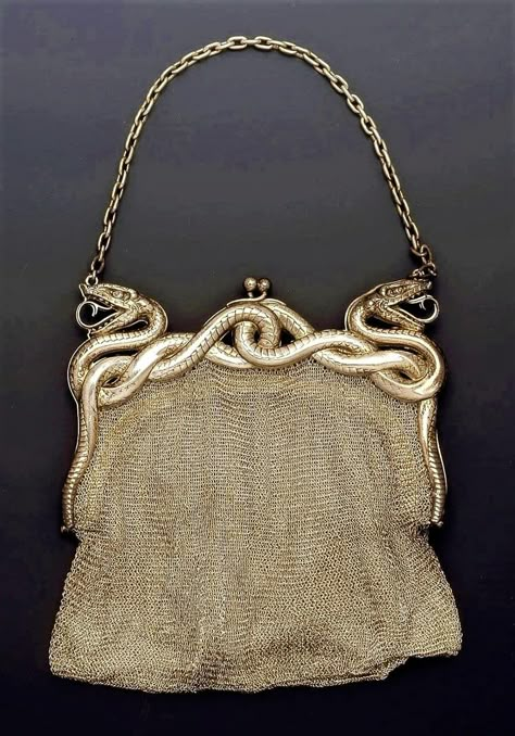 Andre and Paul Frey Art Nouveau silver purse, c 1900 the clasp designed as two intertwining snakes with open mouth Snake Purse, Art Nouveau Fashion, Purse Aesthetic, Silver Purse, Silver Bag, Art Nouveau Silver, Silver Bags, French Jewelry, Fancy Bags