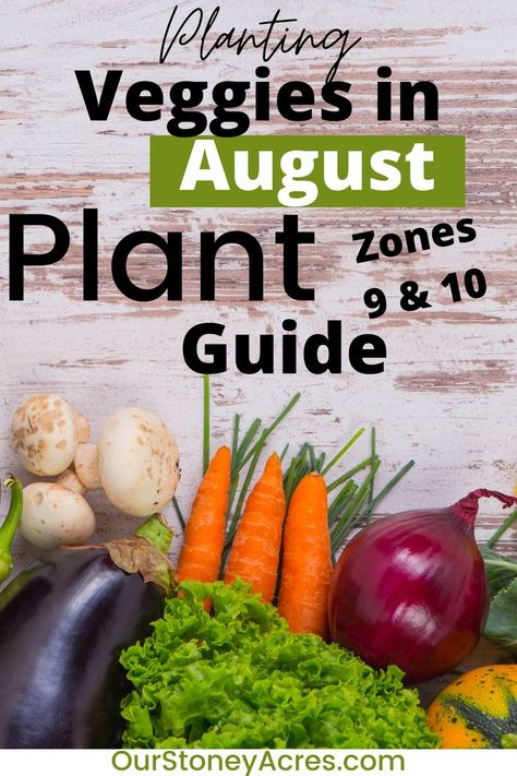 Planting Guide For Vegetables, What To Plant In August, Zone 9 Gardening, Vegetable Planting Guide, Growing Green Beans, August Garden, When To Plant Vegetables, Bucket Gardening, Planting Guide