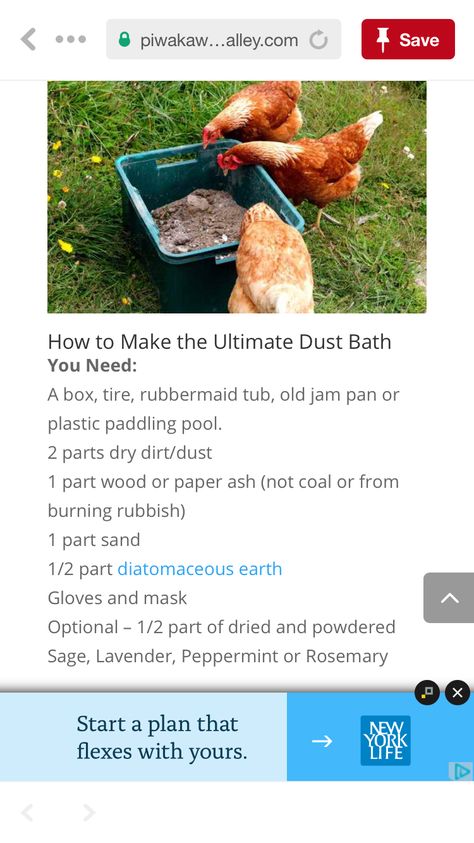 Dust Bath Chickens, Dust Bath Ideas For Chickens, Diy Chicken Dust Bath Container, Diy Chicken Dust Bath Ideas, Dirt Bath For Chickens, Chicken Dust Bath Ideas Covered, Diy Dust Bath For Chickens, Chicken Dust Bath Containers, Chicken Bath Dust