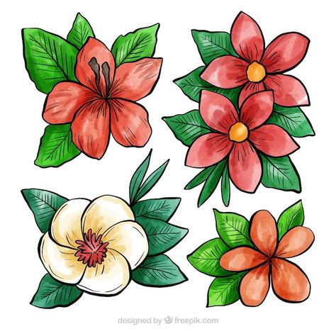 Tropical Flowers Drawing, Jungle Flowers, Watercolor Spring, Stage Decoration, Flower Plants, Plant Vector, Flower Collection, Cartoon Flowers, Floral Drawing