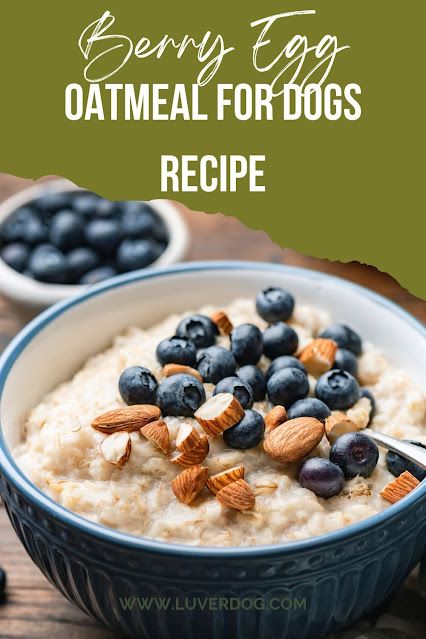 Top 5 Homemade Dog Food With Oatmeal Dog Food With Salmon, Homemade Breakfast Food For Dogs, Breakfast Food For Dogs, Dog Food With Oatmeal, Dog Food Breakfast Recipes, Bland Dog Food Recipe, Homemade Dog Breakfast Recipes, Instapot Dog Food, Breakfast For Dogs Homemade