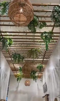 Plant Pulley System, Home Interior Design 2023, Modern Indoor Plants, Indoor Plants Decor Ideas, 2023 Home Interior, Indoor Plants Decor, House Redesign, Design 2023, Plants Decor