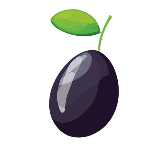 Jamun fruit transparent background,Ai generative Jamun Fruit, Fruits Drawing, Fruits Images, Free Vectors, Hd Images, Images Photos, Figure Drawing, Transparent Background, Vector Free