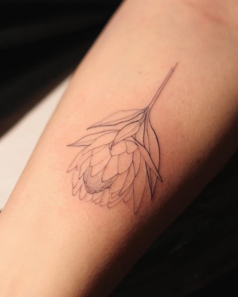 Protea Tattoo Small, King Protea Tattoo, Protea Flower Tattoo, Protea Tattoo, Berlin Tattoo, Tattoo Time, Single Line Tattoo, Chic Tattoo, King Protea