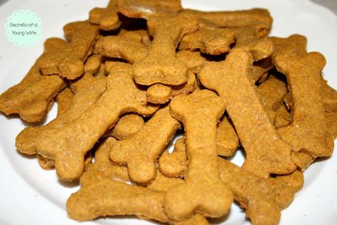 Peanut Butter Pumpkin Dog Treats Peanut Butter Pumpkin Dog Treats, Dogs Ideas, Soft Dog Treats, Cbd Dog Treats, Ideas For Dogs, Peanut Butter Pumpkin, Organic Peanut Butter, Pumpkin Dog Treats, Oils For Dogs