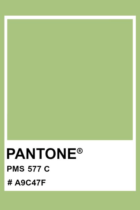 PANTONE 577 C #pantone #color #PMS #hex Desktop Makeover, Pantone Verde, Pantone Matching System, Pantone Color Chart, Room Colours, Recipe App, Pantone Colour Palettes, Pantone Colors, Paint Swatches