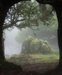 lunarynth:  burning-soul:  Forest Portal, Sardinia, Italy  I need to go back to Italy Fantasy Woods, Mars Aesthetic, Celtic Pagan, Foggy Forest, Book Aesthetics, Nature Forest, Fantasy Warrior, Land Art, Dark Forest