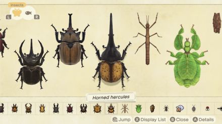 Animal Crossing: New Horizons Bug Guide | Complete List of Bugs and Appearance Times for ACNH｜Game8 Animal Crossing Insects, Animal Crossing Bugs, List Of Insects, Cicada Shell, Mole Cricket, Goliath Beetle, Summer Insects, Rhino Beetle, Types Of Bugs