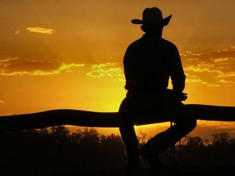 ♥It's a lonely life, but somebody's gotta do it! Cowboy Sunset, Real Cowboys, Cowboy Aesthetic, Cowboy Girl, Western Life, Horse Silhouette, Cowboy Up, Bull Riding, Cowboy Art