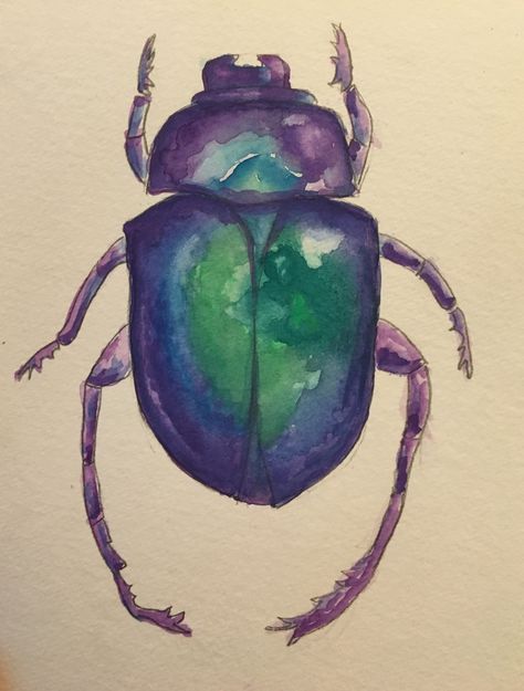 Beetle Watercolor Insects, Scarab Beetle Painting, Bug Watercolor Painting, Bettle Bug Drawings, Egyptian Watercolor, Scarab Beetle Drawing, Scarab Illustration, Beetles Drawing, Scarab Beetle Art