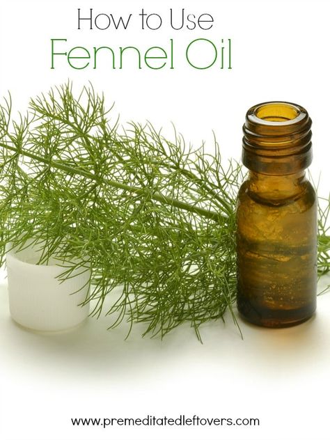 How to Use Fennel Oil- Learn how to make your own fennel oil. Once you have this oil on hand, you can enjoy its health benefits or use it in recipes. Natural Household Products, Fennel Oil, Fennel Essential Oil, Game Arcade, Focus 3, Making Essential Oils, Mint Oil, Oil Remedies, Homemade Products