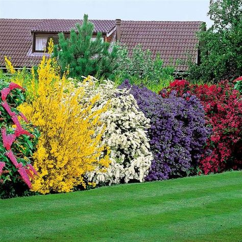 Flowering Bushes, Planting Shrubs, Garden Shrubs, Landscape Designs, Have Inspiration, The Secret Garden, Flowering Shrubs, Lawn And Garden, Shade Garden