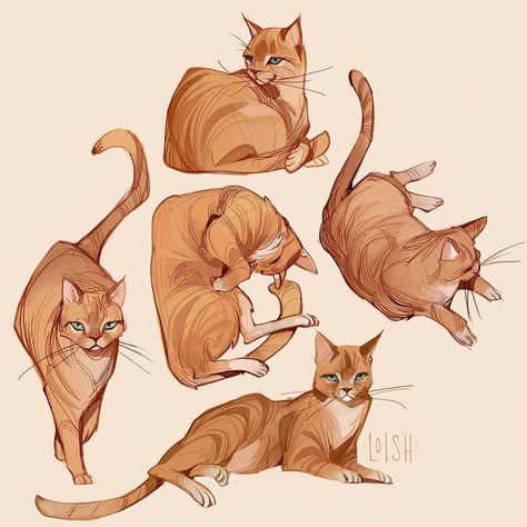 loish on Instagram: “Sketches of this orange guy who likes to wander into our yard and pretends like he owns the place. The audacity! ⠀⠀⠀⠀⠀⠀⠀⠀⠀…” Cat Drawing Tutorial, Cat Anatomy, Cat Sketch, Cat Pose, Cat Character, Warrior Cat, Animal Sketches, Warrior Cats, Illustration Artists