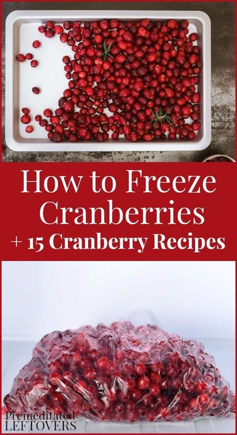 Fresh Frozen Cranberry Recipes, How To Use Fresh Cranberries, Fresh Cranberry Salad Recipes, Freezing Cranberries, What To Do With Fresh Cranberries, Fresh Cranberry Recipes Healthy, Whole Cranberry Recipes, Frozen Cranberry Recipes, Fresh Cranberry Recipes Baking