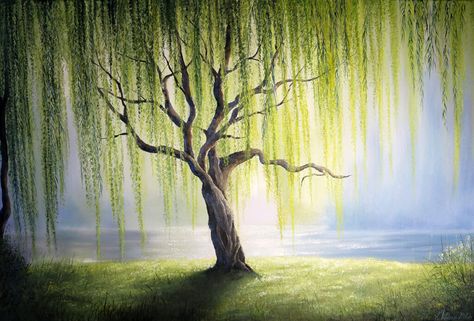 Pipal Tree, Willow Tree Art, Abstract Resin Art, Weeping Trees, Weeping Willow Tree, Oil Painting Canvas, Weeping Willow, Celtic Tree, Unique Trees