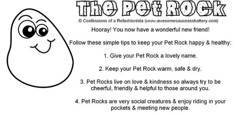 DIY Pet Rock Party Favors - Confessions of a Refashionista Pet Rock Ideas Diy, Pet Rock Adoption Certificate, How To Make A Pet Rock, Ahg Swaps, Teacher Gifts Diy, Party Favors Ideas, Classroom Tree, Summer Store, Pet Rock