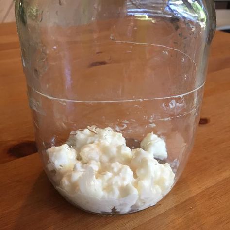 Milk Kefir Recipes, Fridge Smells, Kefir Benefits, Milk Kefir Grains, Water Kefir Grains, Kefir Yogurt, Homemade Kombucha, Fermented Milk, Kefir Recipes