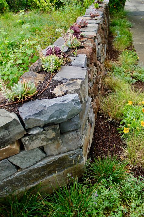 Dry Laid Stone Wall, Dry Stone Wall Garden Ideas, Dry Stone Wall Garden, Stone Wall Garden, Rock Wall Gardens, Stone Walls Garden, Wall Plants, Slate Garden, Small Yard Landscaping