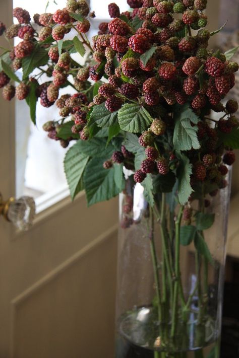 Blackberry Bouquet, Vintage Arrangements, Blackberry Plants, Olive Oil Packaging, Flower Catalog, Black Berries, Blackberry Farms, Flower Picture, Colorful Garden