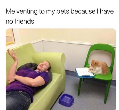 30 Relatable Memes For When You Just Need A Damn Break - Memebase - Funny Memes Humor Animal, No Friends, Memes Humor, Funny Cat Pictures, Cane Corso, I Have No Friends, Dog Show, What’s Going On, Shiba Inu