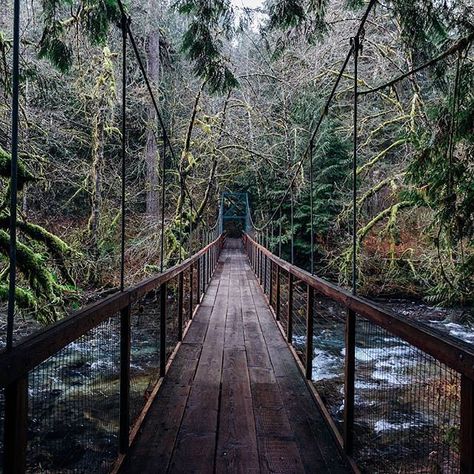 These Awesome Northwest Suspension Bridges Will Leave You Breathless | That Oregon Life Clackamas Oregon, Oregon Life, Washington Travel, Places To Explore, My Hood, Adventure Travel Explore, Eagle Creek, Oregon Washington, Suspension Bridge