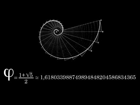 Phi the Golden Ratio Fibonacci Golden Ratio, The Golden Mean, Divine Proportion, Mathematical Equations, Golden Spiral, The Oregon Trail, Fibonacci Sequence, The Golden Ratio, Fibonacci Spiral