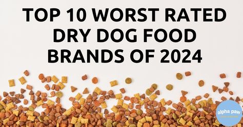 Top 10 Worst Rated Dry Dog Food Brands Of 2024 Porterhouse Steak, B12 Vitamin Supplement, Dog Food Brands, High Quality Food, Vitamin Supplements, Chicken Flavors, Dry Dog Food, Food Source, Be Aware