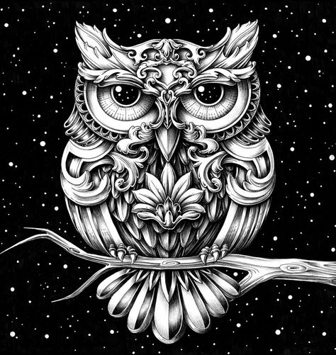 SOMW 2 on Behance Owl Coloring, Leave Art, Ink Therapy, Indian Mythology, Dove Pictures, Owl Coloring Pages, Pyrography Patterns, Owl Artwork, Swans Art