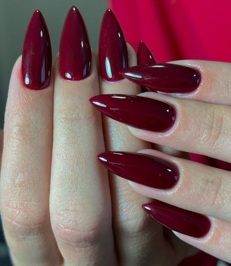 Perfect Red Nails, Red Almond Shaped Nails, Stilettos Nails, Vampire Nails, Almond Shaped Nails, Sophisticated Nails, Dark Red Nails, Maroon Nails, Valentine Nails