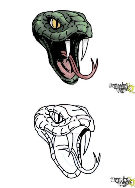 Cool Snake Head Drawing Snake Front View Drawing, Snake Hissing Drawing, Snake Face Drawing, Snake Head Reference, Snake Eyes Drawing, Head Drawing Ideas, Drawing A Snake, Rattlesnake Drawing, Easy Snake Drawing