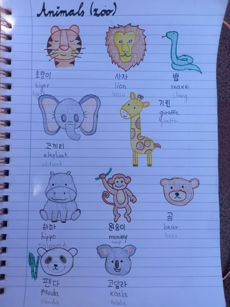 Zoo animals in Korean! Animals In Korean, King Size Canopy Bed, Drawing Tricks, Native Speaker, Kindergarten Reading Activities, Cake Illustration, Kindergarden Activities, Color Mixing Chart, Worksheet For Kids