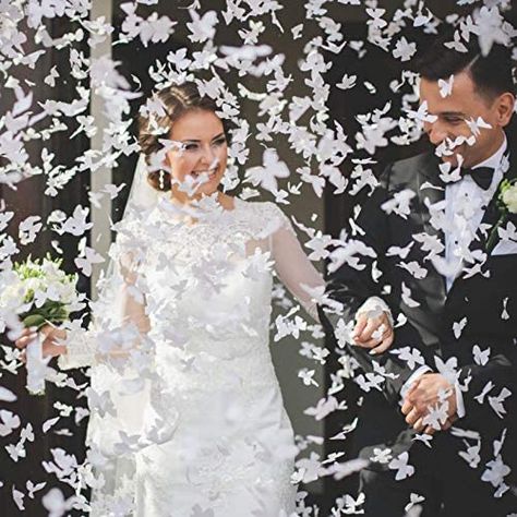 White Butterfly Confetti Cannons, Biodegradable Wedding Confetti Popper 15" Length Confetti Cannon - Shoots 20Ft - : Home & Kitchen Butterfly Confetti, Confetti Poppers, Biodegradable Confetti, Harry Potter Scarf, White Confetti, Inflatable Decorations, Rose Gold Party, Stag Party, Butterfly Wedding