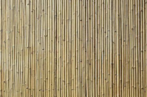 Bamboo Texture – wall murals online – Photowall Bamboo Ceiling, Bamboo Texture, Wood Table Diy, Asian Restaurant, Ceiling Texture, Normal Wallpaper, Texture Wall, Bamboo Fence, Custom Wall Murals