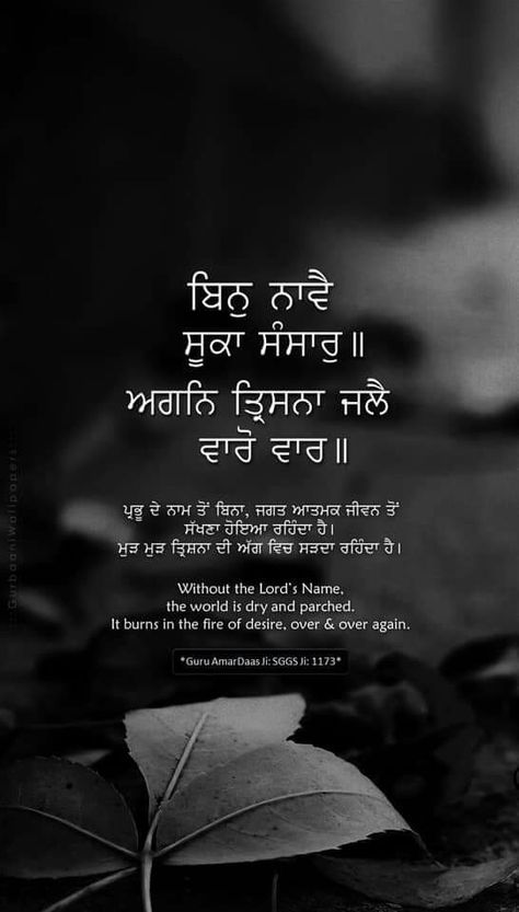 Guru Granth Sahib Quotes Motivation, Granth Sahib Quotes, Chaar Sahibzaade, Gurbani Wallpapers, Guru Granth Sahib Quotes, Guru Granth Sahib, Shri Guru Granth Sahib, Sri Guru Granth Sahib, Sikh Quotes