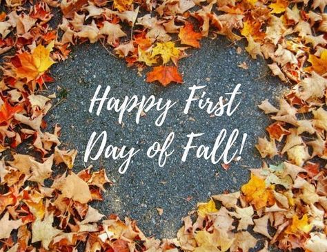 1st Day Of Autumn, Hello Fall Quotes, Happy First Day Of Fall, First Day Of Autumn, Barbie Quotes, Fall Quotes, First Day Of Fall, Pumpkin Roll, Fall Background