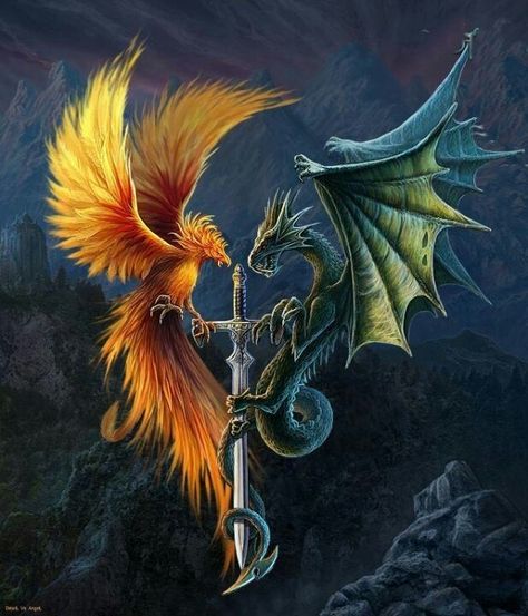 Phoenix And Dragon, Phoenix Artwork, Phoenix Dragon, Yin Yang Tattoos, Phoenix Tattoo Design, Dragon Artwork Fantasy, Dragon Images, Phoenix Art, Dragon Tattoo Designs