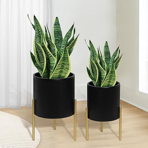 Black And Brass Planter, Pots Set, Parlor Palm, Modern Planter, Office Garden, Garden Drawing, Decorated Flower Pots, Bedroom Wall Paint, Peace Lily