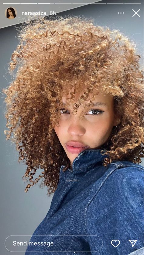 Nara Smith Curly Hair, Golden Brown Curly Hair Black Women, Honey Blonde Curls, Nara Aziza, Nara Smith, Blonde Afro, 3c Hair, Highlights Curly Hair, Brown Curls